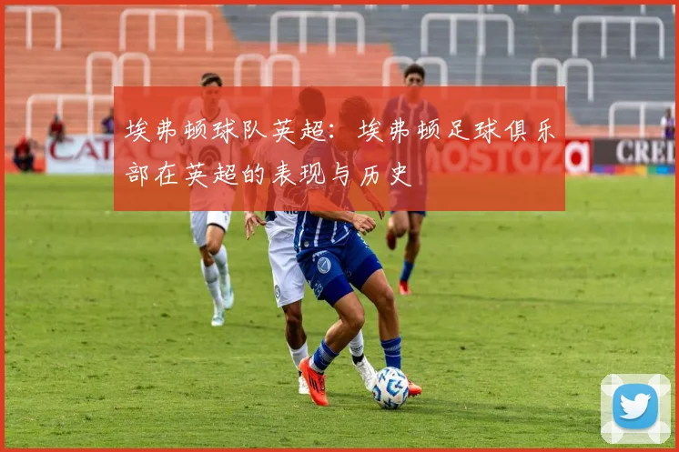 埃弗顿球队英超：埃弗顿足球俱乐部在英超的表现与历史