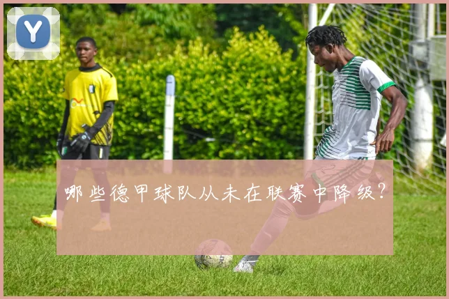 哪些德甲球队从未在联赛中降级?