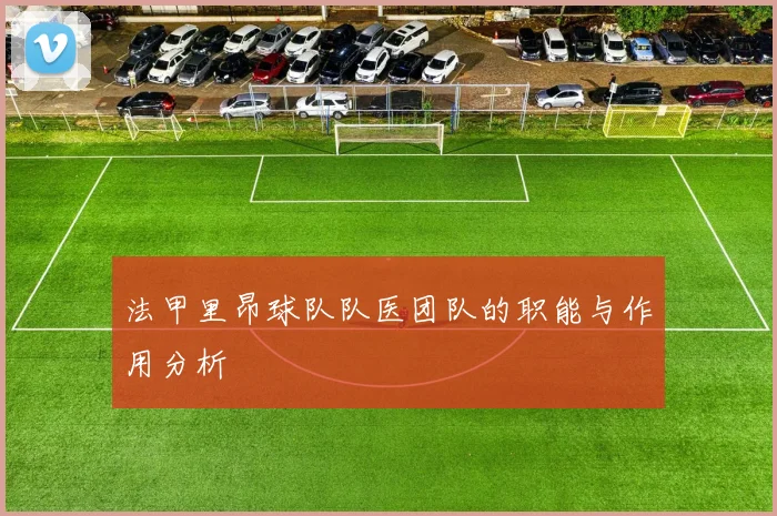 法甲里昂球队队医团队的职能与作用分析